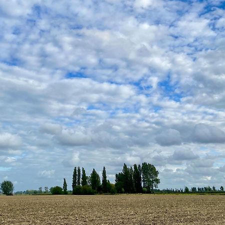 Gastenverblijf 'T Landsheertje Вёрне Экстерьер фото